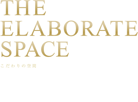 THE ELABORATE SPACE